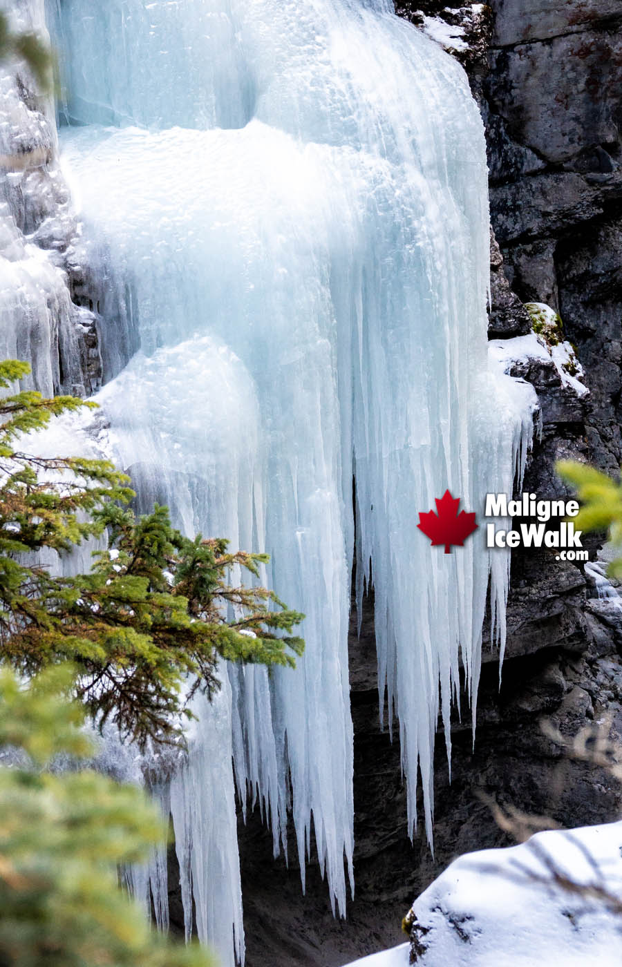 Icicles Inside Maligne Canyon Ice Walk