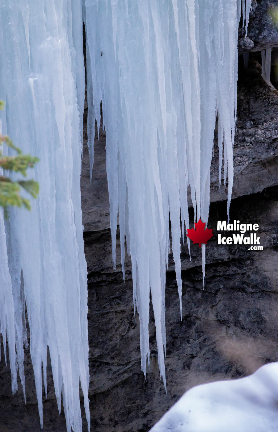 Huge Icicles Inside Maligne Canyon Ice Walk