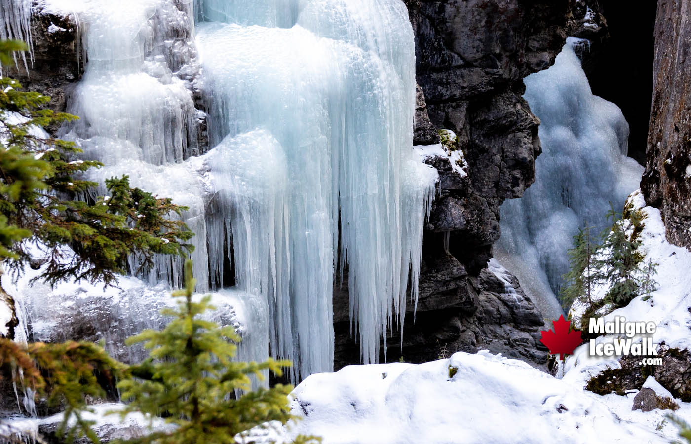 Awesome Icicle Caves Inside Maligne Canyon Ice Walk