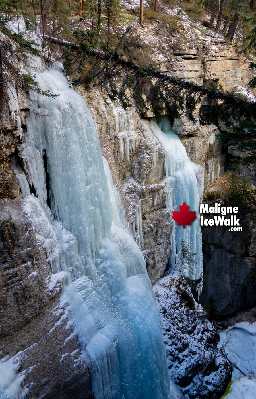 Huge Frozen Waterfalls Inside Maligne Canyon Ice Walk