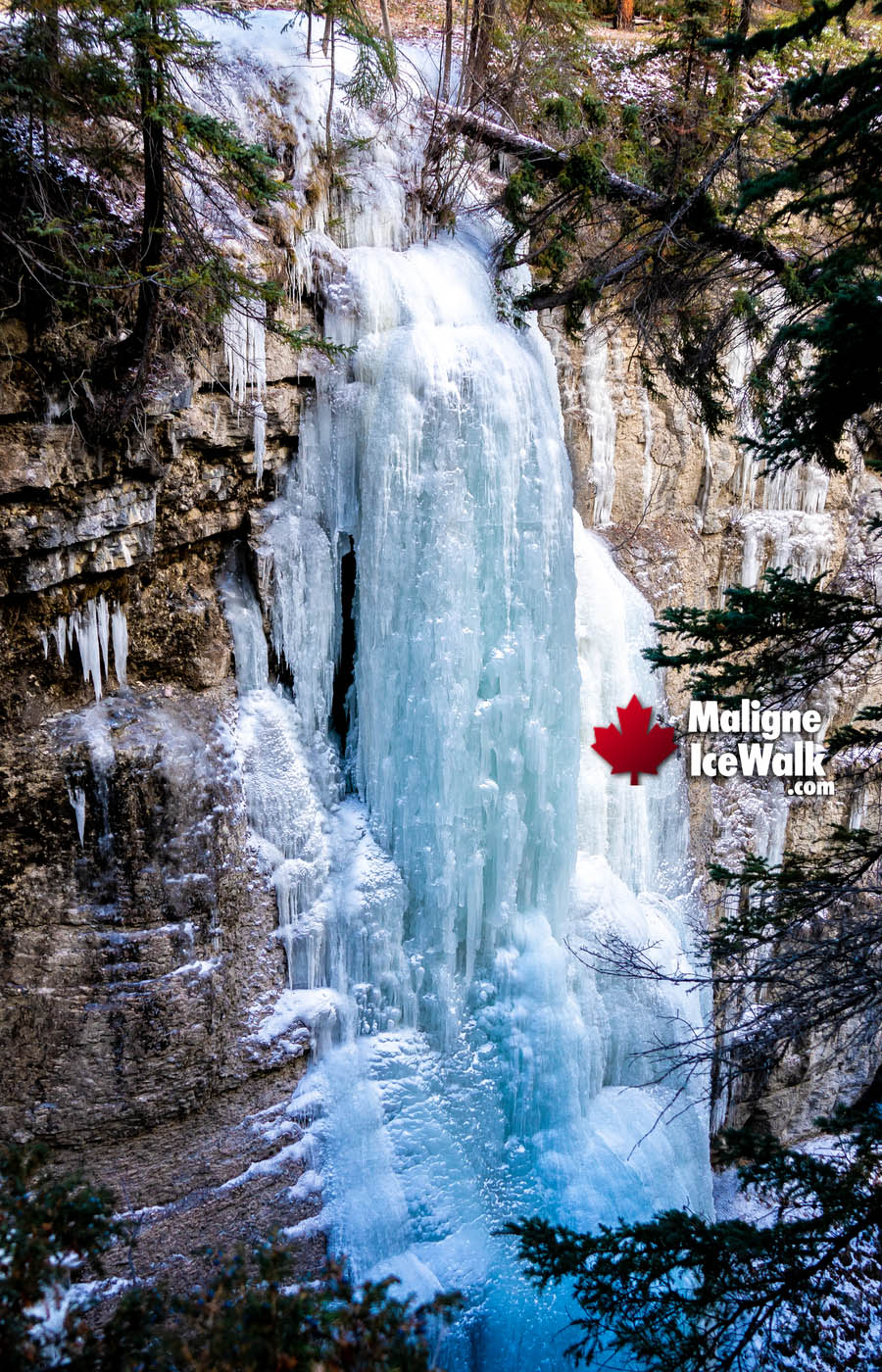 View Frozen Water Falls Inside Maligne Canyon Ice Walk