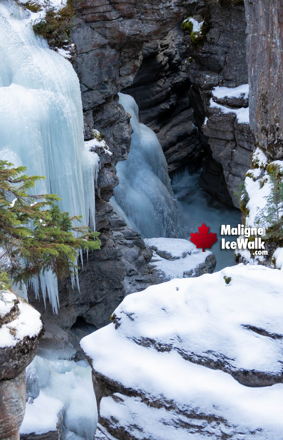 Icicles and Frozen Waterfalls with Caves Inside Maligne Canyon Ice Walk