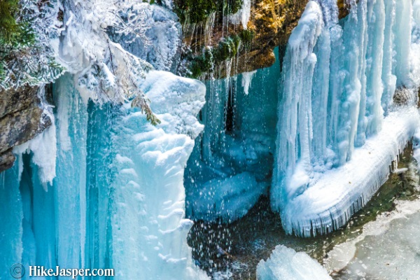 2022 Maligne Canyon Ice Walk